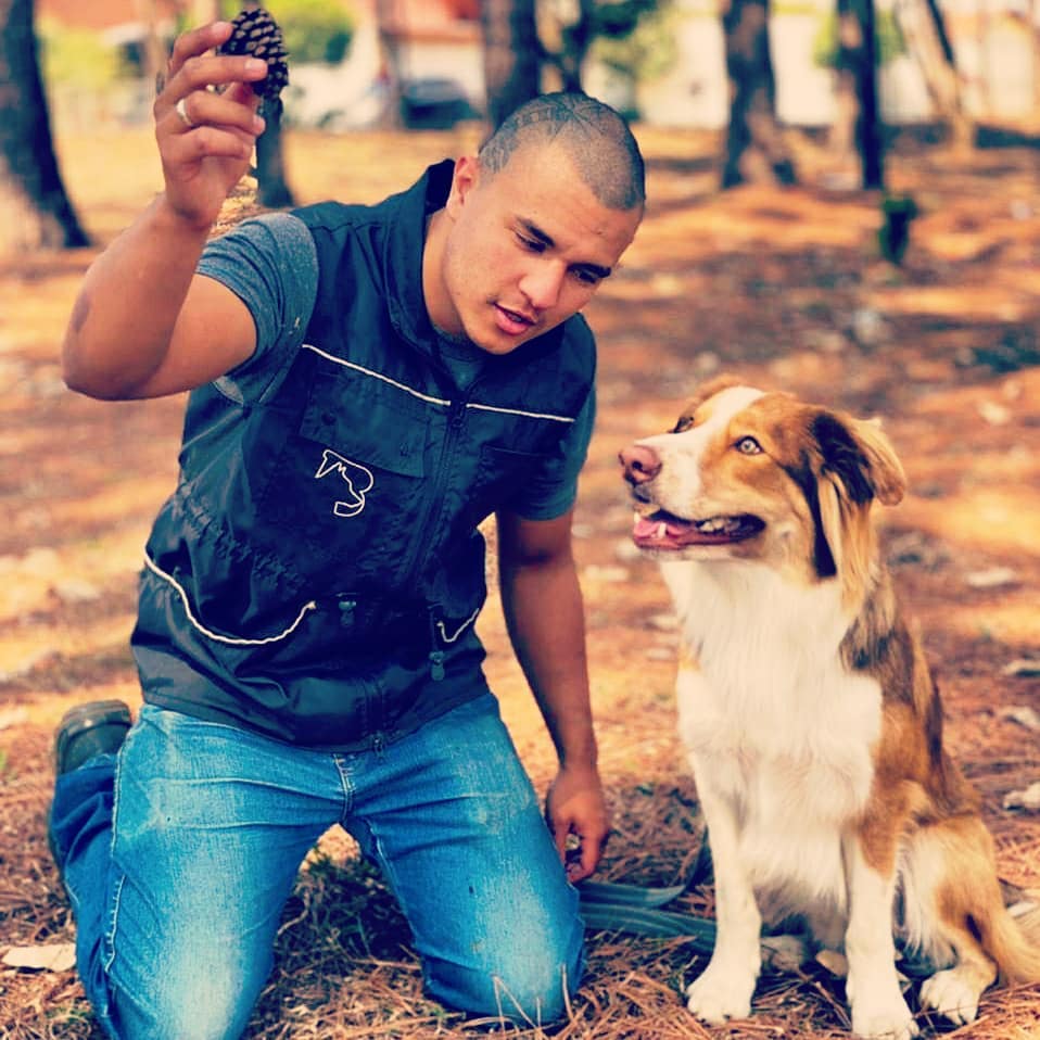 Gabriel, adestrador, treinando um cão com reforço positivo em um parque